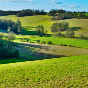 Rolling green fields surrounding Oadby Manor Care Home in Oadby, Leicestershire.