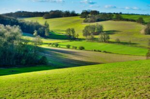 Discover Oadby